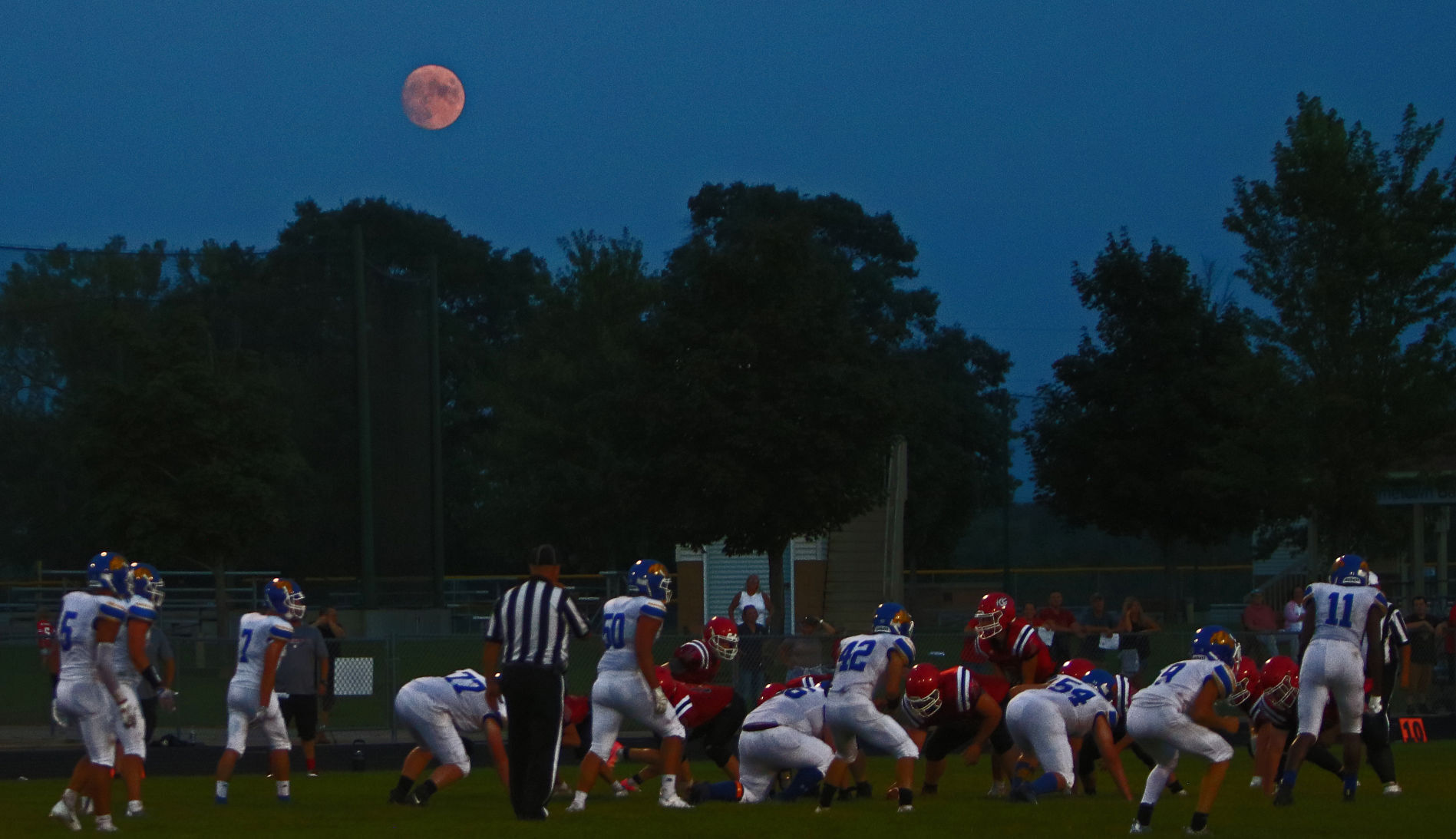 Blue Moon